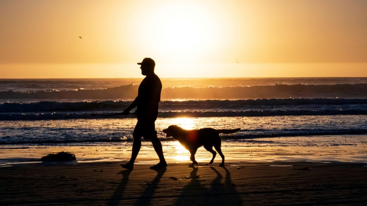 Muž se psem jsou po pláži a zapadá slunce.